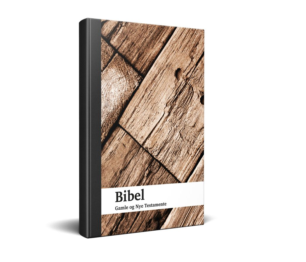 Bibel - Det Nye & Gamle Testamente